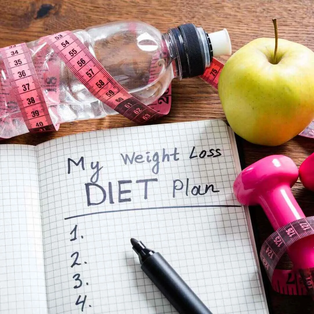 weight loss plan diary